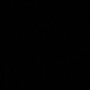 Meet your Posher, Jayla